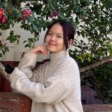 Thi Thuy Ngan D.