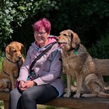 Kathrins Gassiservice
