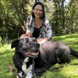 Sophias Hunde Runde